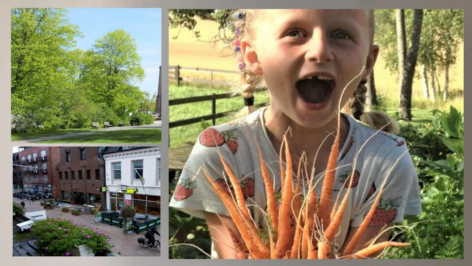 «Fortetting med kvalitet i Fredrikstad – flere bilfrie gater, grønne områder og urbant landbruk»