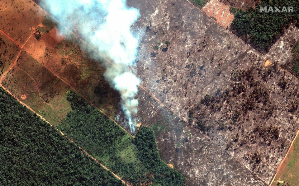 brann: Et satelittbilde viser en av brannene som herjer i Amazonas. FOTO: NTB SCANPIX brann: Et satelittbilde viser en av brannene som herjer i Amazonas. FOTO: NTB SCANPIX