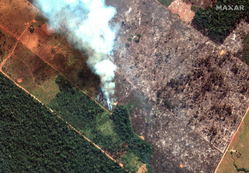 In this Aug 15, 2019 satellite image provided by Satellite image ©2019 Maxar Technologies, shows fires burning in the State of Rondonia, Brazil, in the upper Amazon River basin. Brazil's National Institute for Space Research, a federal agency monitoring deforestation and wildfires, said the country has seen a record number of wildfires this year, an 84 percent increase compared to the same period last year. The states that have been most affected by fires this year are Mato Grosso, Para and Amazonas, all in the Amazon region. (Satellite image ©2019 Maxar Technologies via AP) In this Aug 15, 2019 satellite image provided by Satellite image ©2019 Maxar Technologies, shows fires burning in the State of Rondonia, Brazil, in the upper Amazon River basin. Brazil's National Institute for Space Research, a federal agency monitoring deforestation and wildfires, said the country has seen a record number of wildfires this year, an 84 percent increase compared to the same period last year. The states that have been most affected by fires this year are Mato Grosso, Para and Amazonas, all in the Amazon region. (Satellite image ©2019 Maxar Technologies via AP)