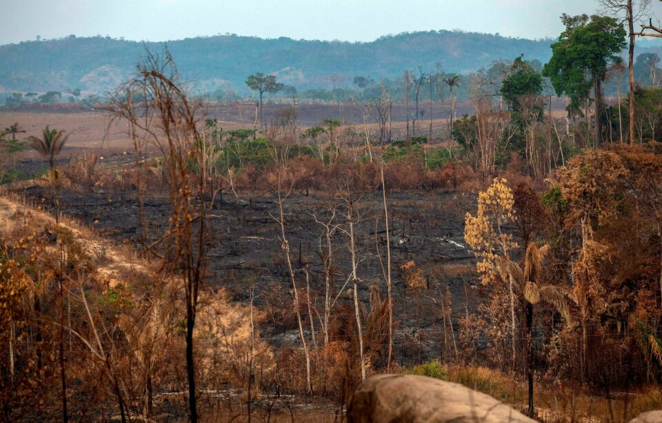 FOTO: Store landområder er ødelagt på grunn av skogbranner i Amazonas så langt i år. FOTO: NTB SCANPIX FOTO: Store landområder er ødelagt på grunn av skogbranner i Amazonas så langt i år. FOTO: NTB SCANPIX