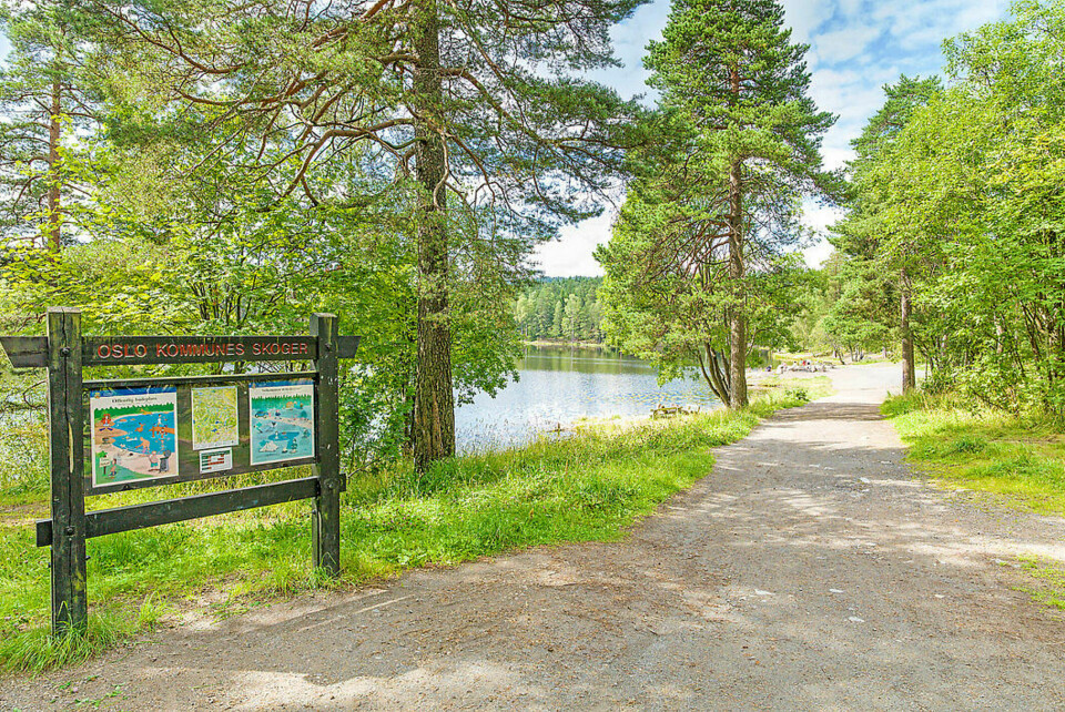OGSÅ DETTE: Ikke bare ligger Groruddalen i bunnsjiktet når det gjelder boligprisene, kjøpere får også mye annet på kjøpet, som enkel tilgang til naturperler. FOTO: EIENDOMSMEGLER 1 OGSÅ DETTE: Ikke bare ligger Groruddalen i bunnsjiktet når det gjelder boligprisene, kjøpere får også mye annet på kjøpet, som enkel tilgang til naturperler. FOTO: EIENDOMSMEGLER 1