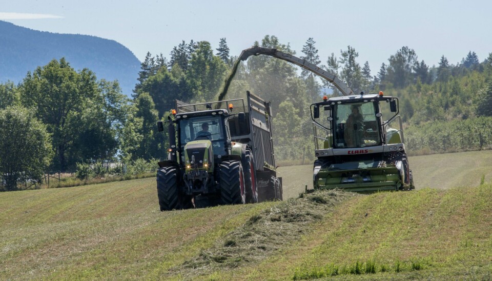 Innhøsting av silofor. Flere bønder er misfornøyde med resultatet av jordbruksoppgjøret etter at prisen på handelsgjødsel steg med nærmere 30 prosent. Foto: Terje Bendiksby / NTB