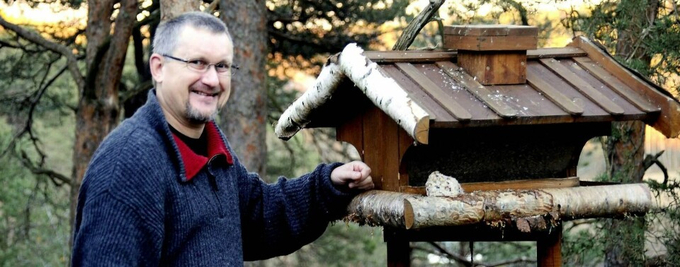 Det går med over to kilo solsikkefrø hver dag, forteller Knut Ekanger, der han står ved fuglebrettet han har snekret selv.