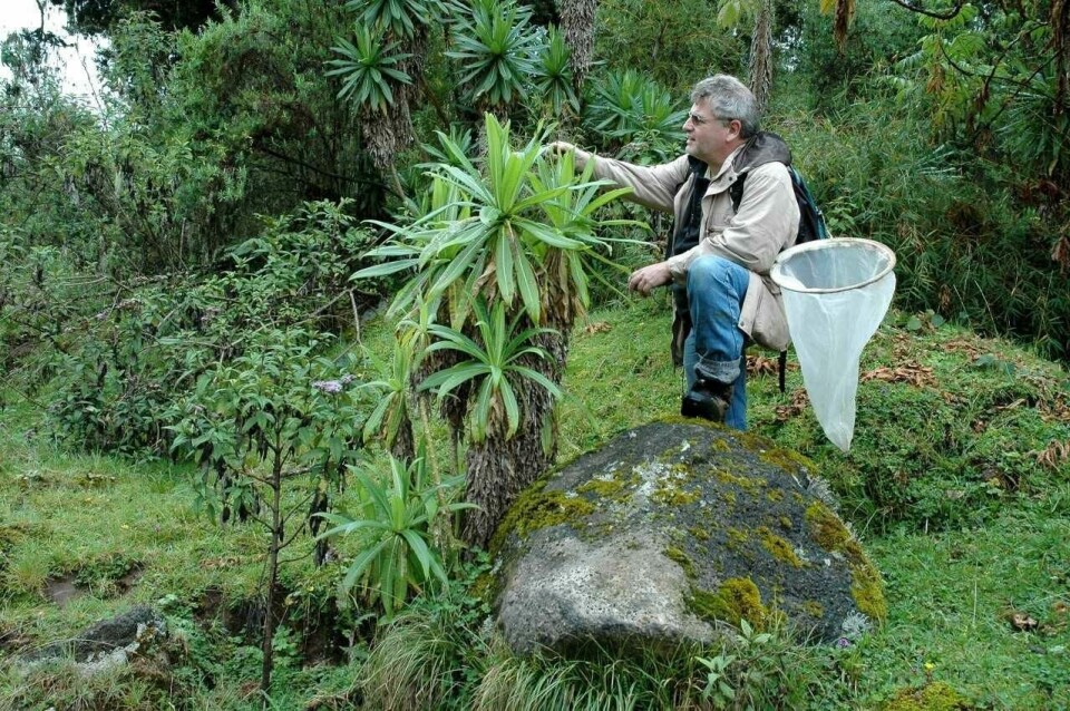 Lars Ove Hansen i Kenya. Lars Ove Hansen i Kenya.