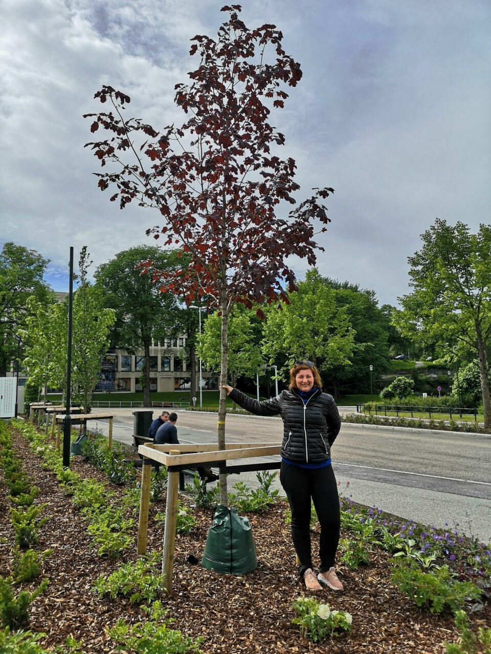 Norge trenger også en tydelig parkpolitikk, mener Mari Myhrene i FAGUS, her avbildet med en lønn. Norge trenger også en tydelig parkpolitikk, mener Mari Myhrene i FAGUS, her avbildet med en lønn.