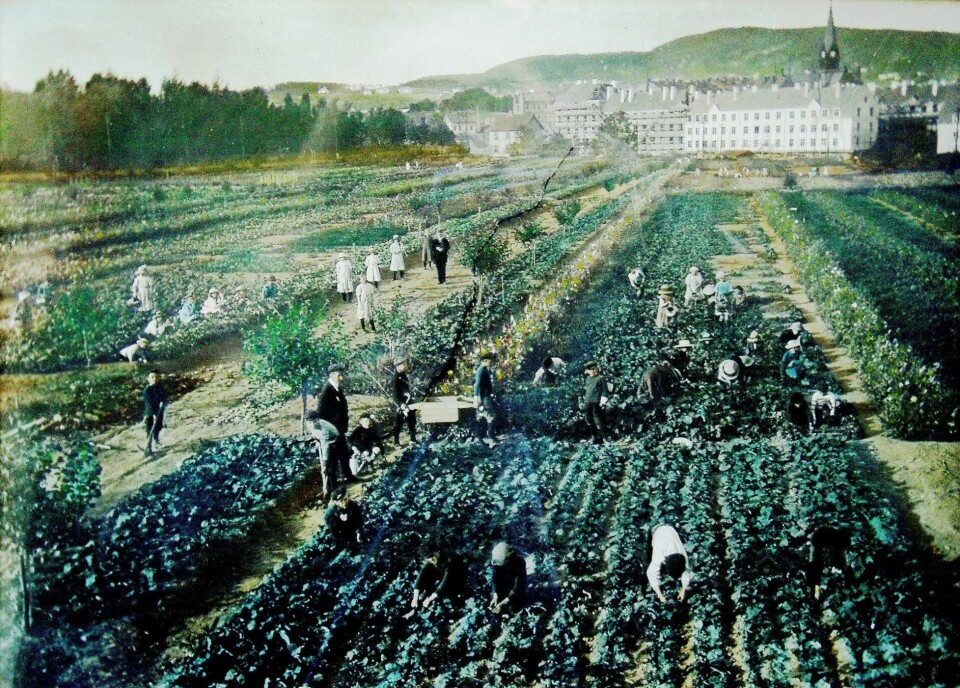 Kristiania kommune kjøpte eiendommen Geitmyrsveien 77 og 79 rundt 1900. Nr. 77 var ubebygd og nr. 79 var eid av en vognmannsfamilie med våningshus, vognskur, staller, uthus og en liten potetåker. Våningshuset står fortsatt, med adresse Kierschows gate 9, og skimtes i bakgrunnen på bildet fra cirka 1913, i likhet med Det Rivertzke kompleks og Sagene kirke. Kristiania kommune kjøpte eiendommen Geitmyrsveien 77 og 79 rundt 1900. Nr. 77 var ubebygd og nr. 79 var eid av en vognmannsfamilie med våningshus, vognskur, staller, uthus og en liten potetåker. Våningshuset står fortsatt, med adresse Kierschows gate 9, og skimtes i bakgrunnen på bildet fra cirka 1913, i likhet med Det Rivertzke kompleks og Sagene kirke.