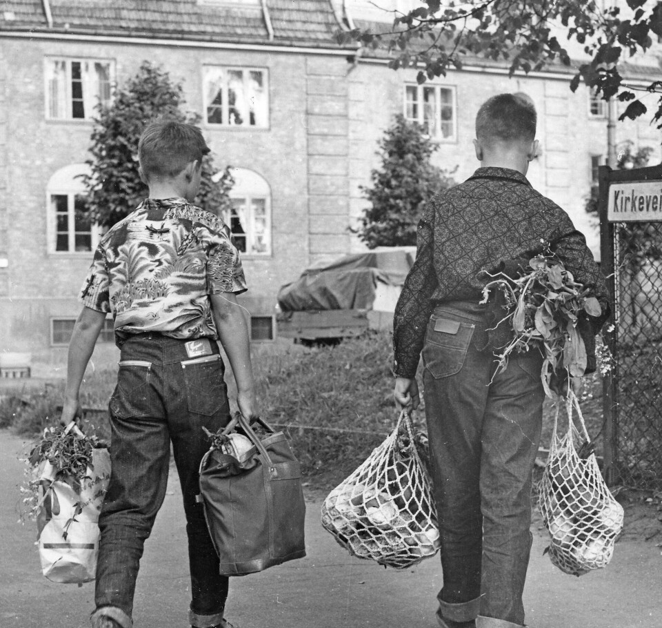 Skolehagens grøde bæres hjem til mor cirka 1960–65. Skolehagens grøde bæres hjem til mor cirka 1960–65.