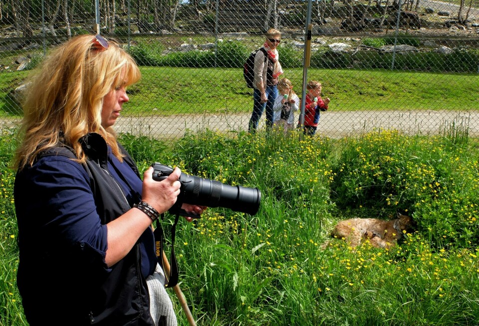 Damen med fotoapparatet er Gro Saugerud fra Drammen, tidligere ansatt ved Langedrag og innehaver av Drammen hundeskole. FOTO: PERNILLE VESTENGEN Damen med fotoapparatet er Gro Saugerud fra Drammen, tidligere ansatt ved Langedrag og innehaver av Drammen hundeskole. FOTO: PERNILLE VESTENGEN