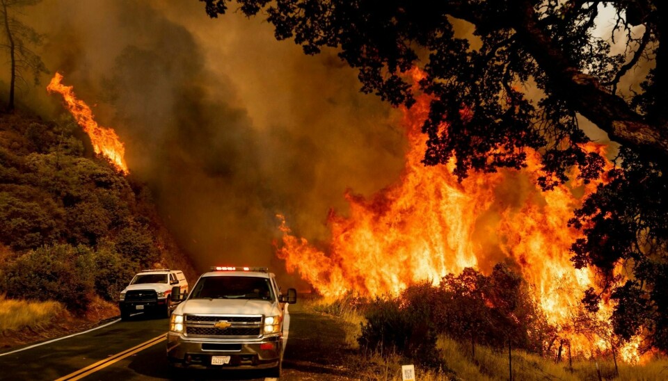 Mer enn 500 branner i California i USA har svidd av 4.856 kvadratkilometer skog. Sterk vind og mer tordenvær truer med å gjøre situasjonen enda verre. Her fra den såkalte LNU Lightning Complex-brannen, en av de tre store.