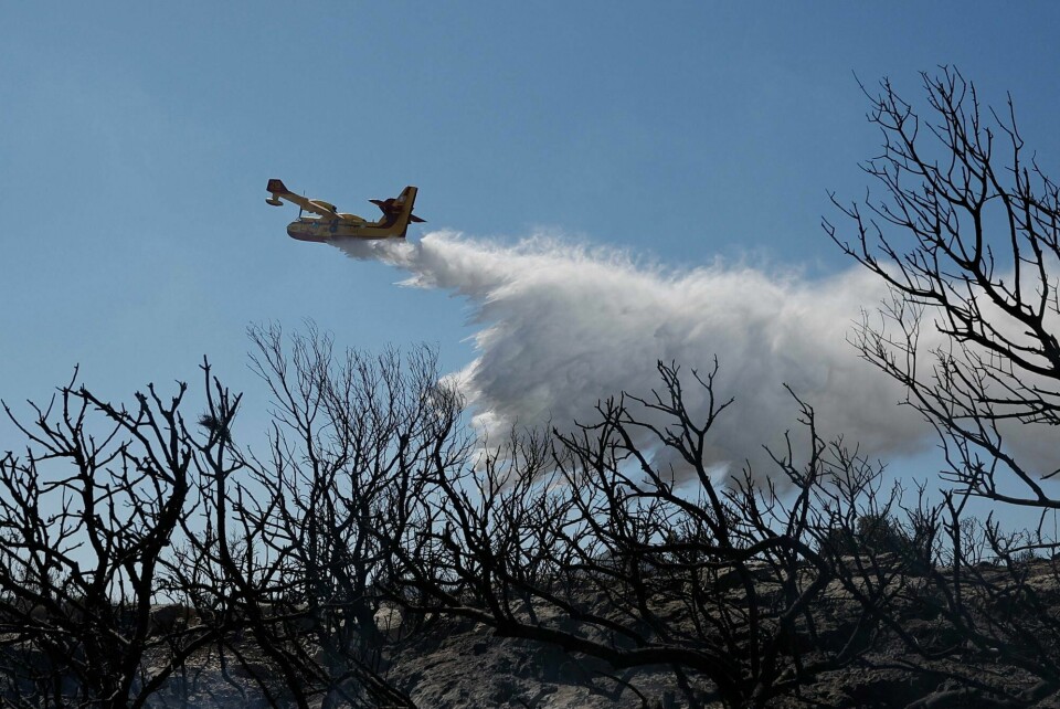 Seks brannslokningsfly og flere titalls brannfolk er i sving for å slukke flammene. Seks brannslokningsfly og flere titalls brannfolk er i sving for å slukke flammene.