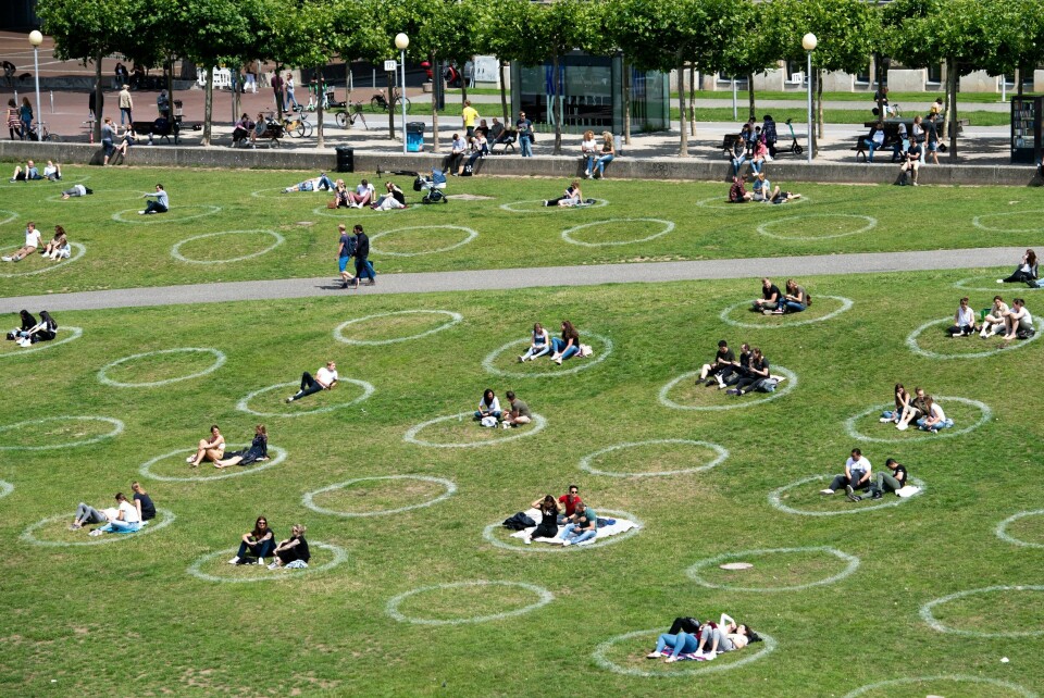 I en park i Köln er det malt sirkler i gresset for å sikre at folk holder avstand. People sit in painted circles on a meadow on the banks of the Rhine in Cologne, Germany, on Saturday, July 11, 2020. The circles are to ensure that the minimum distance is maintained during the corona pandemic. (Marius Becker/dpa via AP)