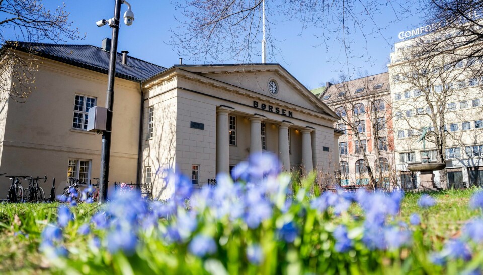 Torsdag markerer nok en dag med oppgang på Oslo Børs denne uken. Blomstene spirer i vårsola utenfor Oslo Børs. Foto: Javad Parsa / NTB