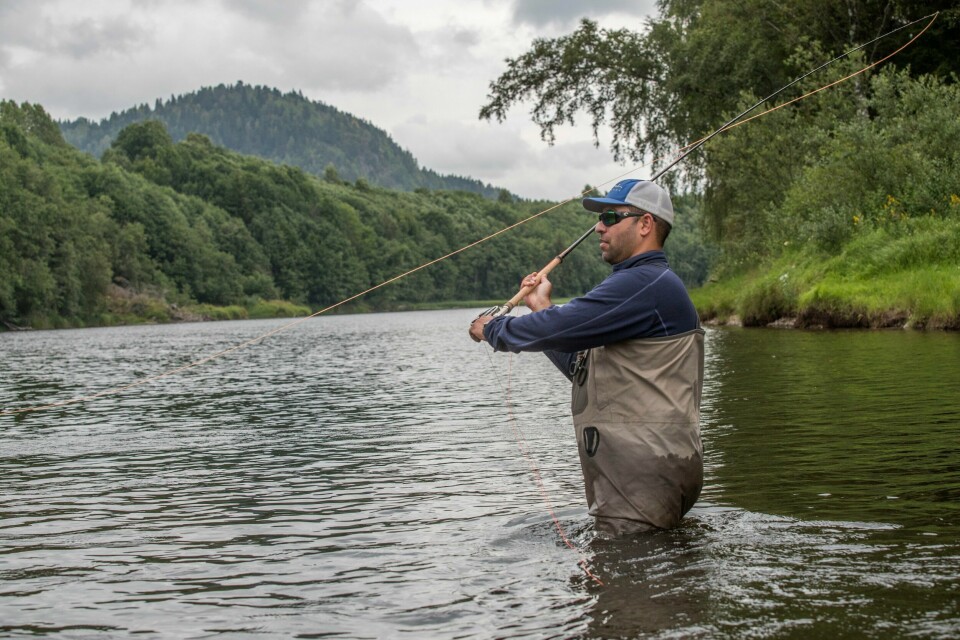 Fra natt til søndag er det stopp i laksefisket i en rekke elver her i landet. Fra natt til søndag er det stopp i laksefisket i en rekke elver her i landet. Foto: Terje Bendiksby / NTB