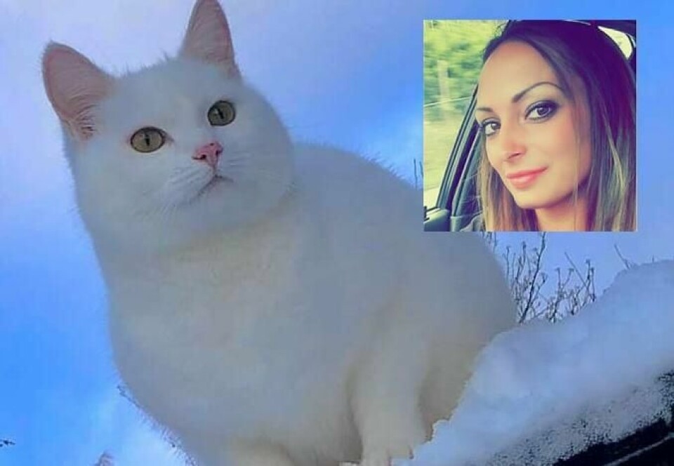 Linn Charlotte Aas gjorde hva hun kunne for å forhindre at drammenskvinnen hun omplasserte katten Jørdis til skulle avlive den, men lyktes ikke.