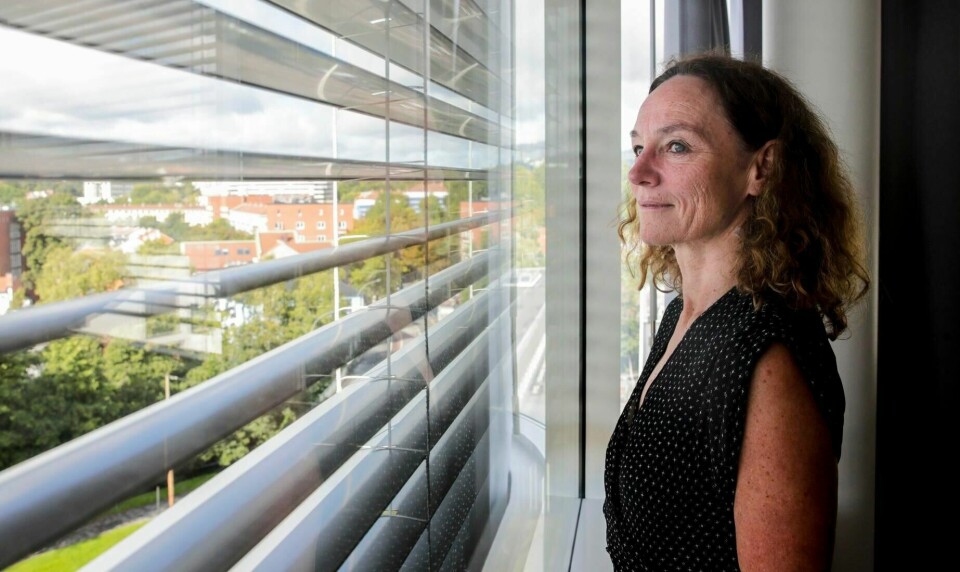 Nordmenn har lagt bak seg seks måneder med koronatiltak. Direktør i Folkehelseinstituttet Camilla Stoltenberg sier vi må stålsette oss for mange flere måneder med tiltak.