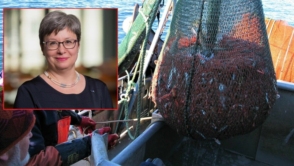 «Mener fylkesråden at nedleggelsen av blå linje er i tråd med den politiske plattformen og næringslivets behov for kompetent arbeidskraft innen sjønæringen og marine fag?»