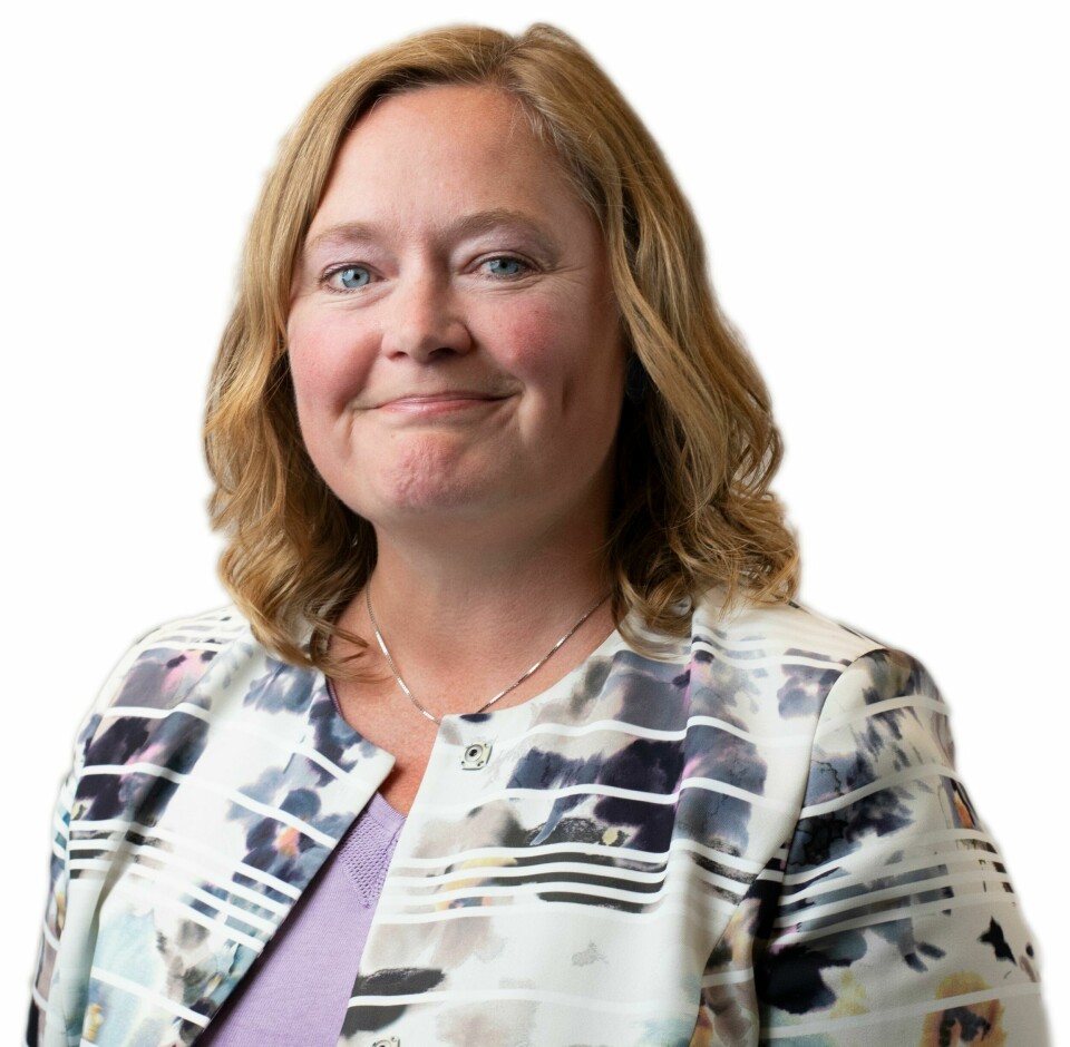 Finanspolitisk talsperson i Høyre, Anne Rygg. Finanspolitisk talsperson i Høyre, Anne Rygg.