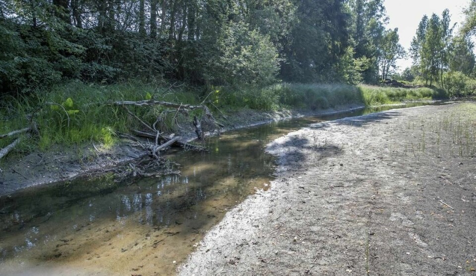 Det er lite vann i Loeselva som går mellom Hokksund og Steinberg i Buskerud etter sommerens mangel på nedbør, i likhet med mange småelver på Østlandet.