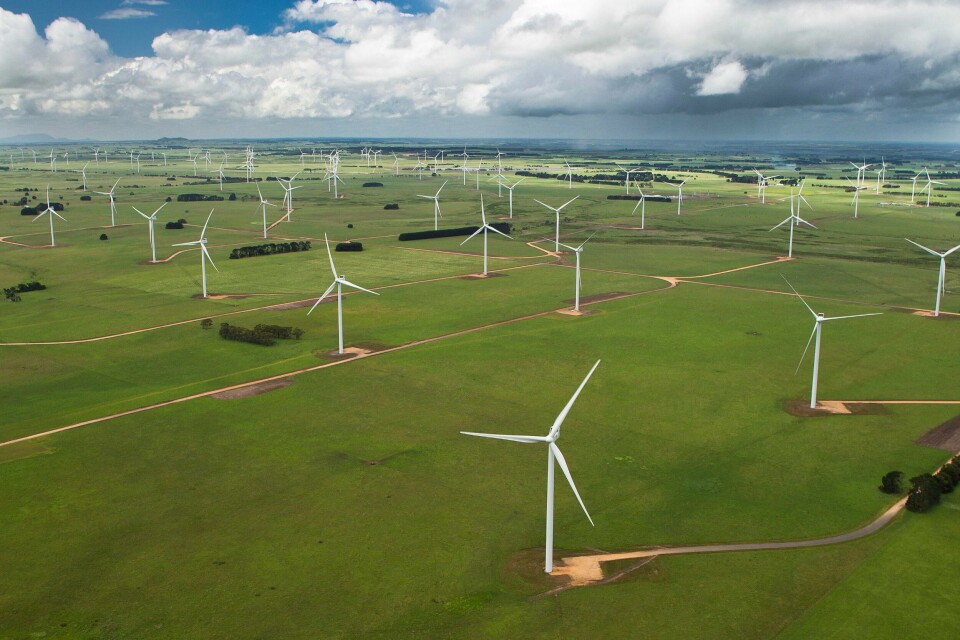 Verdien av Oljefondets eierandel i den største fornybarinvesteringen, Vestas Wind Systems, økte med nær 1,9 milliarder kroner i fjor. Her her fra en vindpark med Vestas-turbiner i Australia. FOTO: VESTAS WIND SYSTEMS A/S