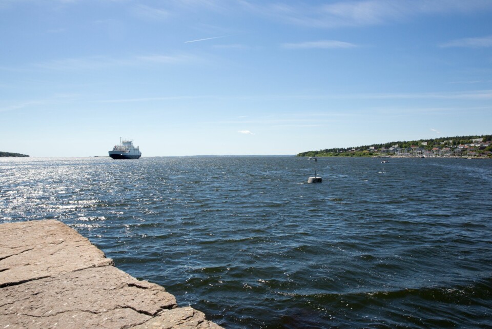 Fontenen på Sjøbadet. Fontenen på Sjøbadet.
