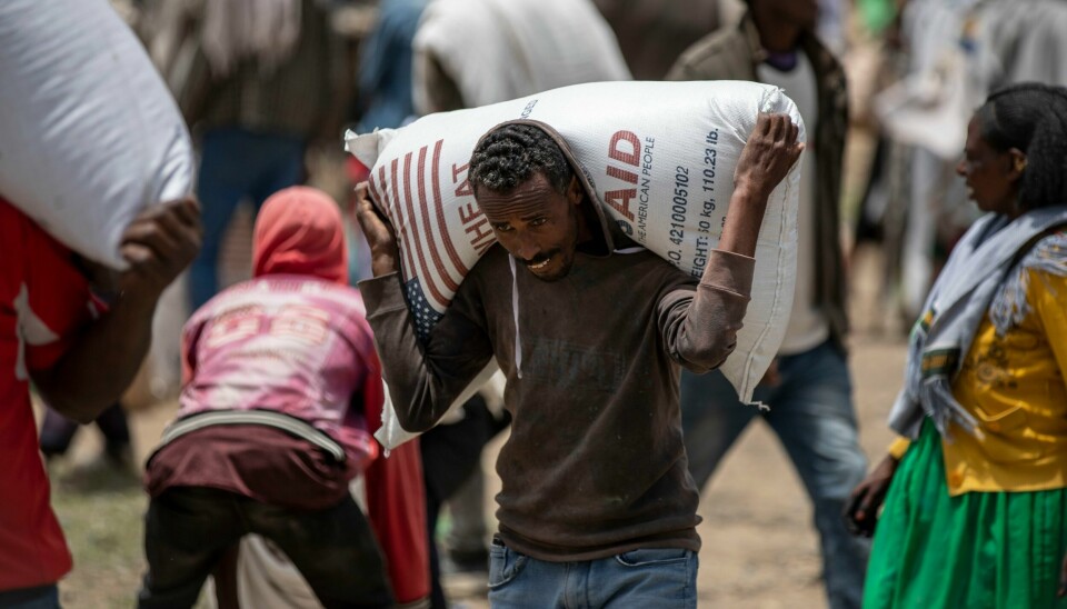 En mann i Agula i Tigray-regionen i Etiopia bærer på en sekk hvete han har fått utdelt. Etiopia er blant landene der mange er rammet av sult. En mann i Agula i Tigray-regionen i Etiopia bærer på en sekk hvete han har fått utdelt. Etiopia er blant landene der mange er rammet av sult. Foto: Ben Curtis / AP / NTB