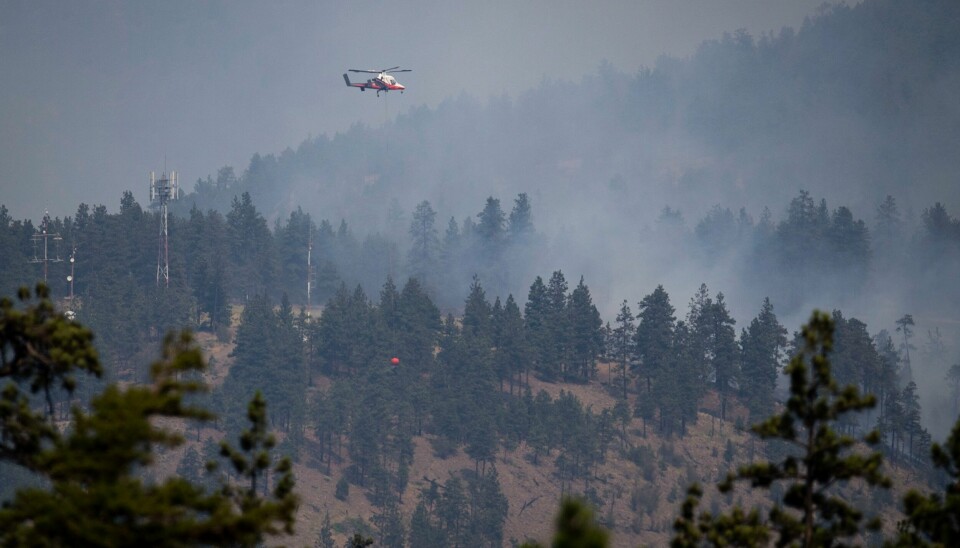 Skogbranner i British Columbia i Canada blir forsøkt slukket i starten av juli. Skogbranner i British Columbia i Canada blir forsøkt slukket i starten av juli. Foto: Darryl Dyck/The Canadian Press via AP / AP / NTB