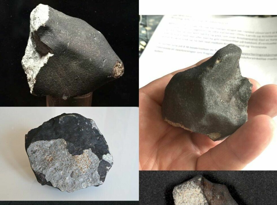 Her er et utvalg av typiske meteoritter. Bemerk den store variasjonen i form og struktur. Her er et utvalg av typiske meteoritter. Bemerk den store variasjonen i form og struktur.