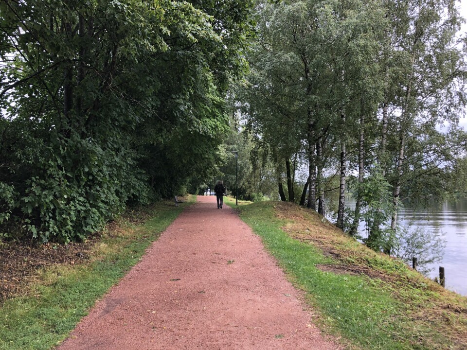 Turstien mellom båtparken og campingplassen langs Drammenselva er et populært område der både store og små ferdes. Giftstoffer langs Drammenselva