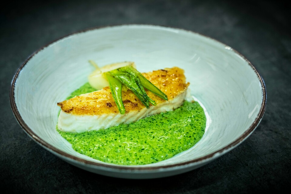ENKELT OG LEKKERT: Kveita hviler på en grønn saus av skvallerkål, og er toppet med forvellet og stekt nepe. ENKELT OG LEKKERT: Kveita hviler på en grønn saus av skvallerkål, og er toppet med forvellet og stekt nepe.