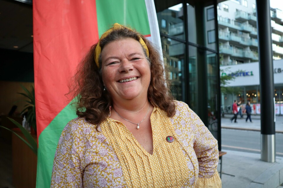 Buskerud har syv direktemandater og et utjevningsmandat. Sistnevnte gikk til SVs listetopp Kathy Lie. Kathy Lie (SV)