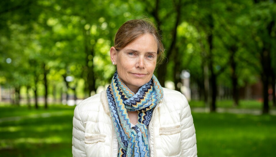Økonomiprofessor Karen Helene Ulltveit-Moe vil skrote ostehøvelreformen for effektivisering av offentlig sektor.