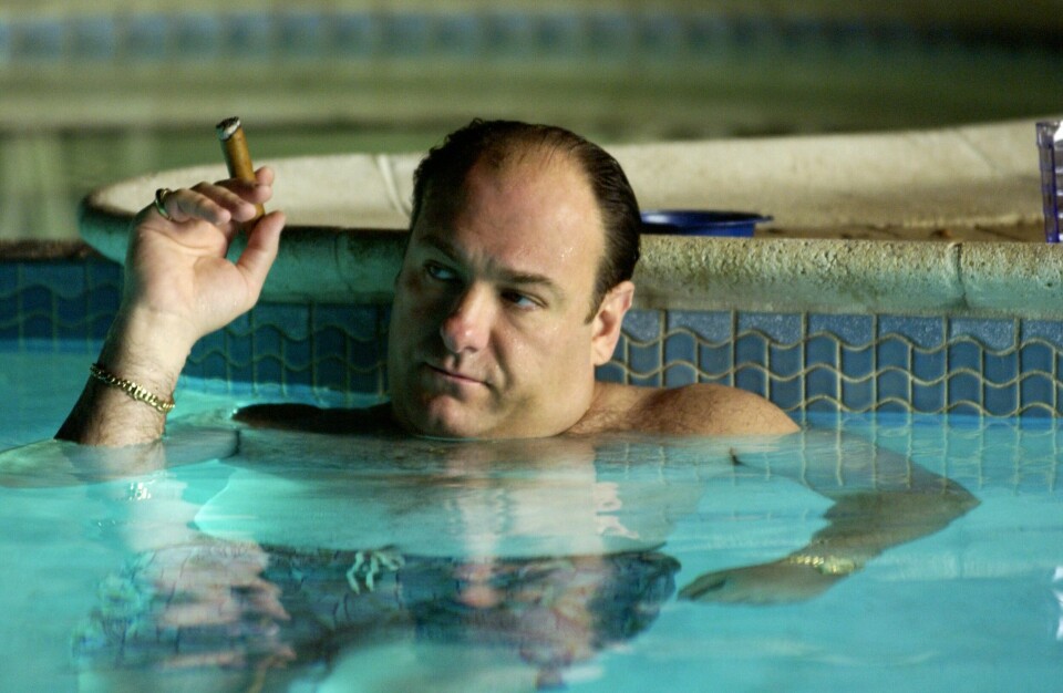 Tony Sopranos mafialiv i New Jersey var ikke som skildringer av gangstere flest innen film og TV, skapt og skrevet av David Chase. Nå har han laget manus til filmen om Tony Sopranos formative år. Tony Sopranos mafialiv i New Jersey var ikke som skildringer av gangstere flest innen film og TV, skapt og skrevet av David Chase. Nå har han laget manus til filmen om Tony Sopranos formative år.