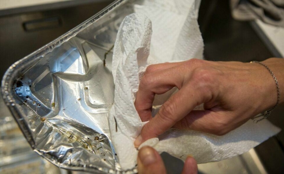 Mange nordmenn vet ikke at stekeformer skal sorteres med glass- og metallavfall. Bare husk å skylle eller tørke ut av formen først.