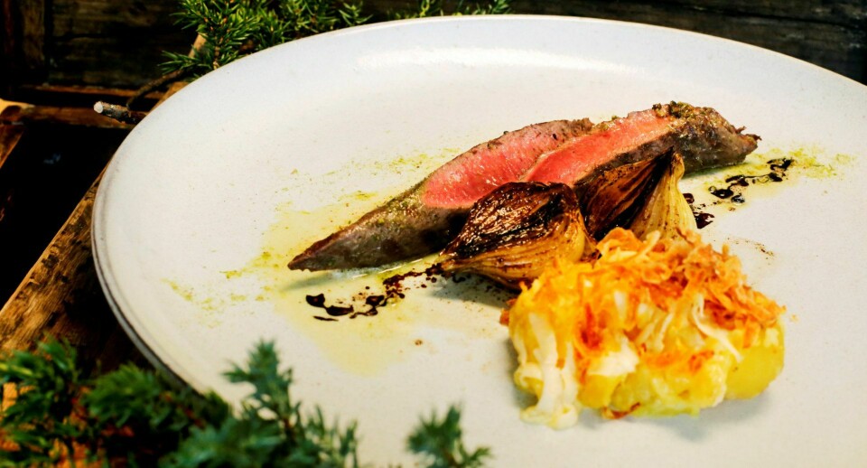Indrefilet av reinsdyr, med einerbærkrydder og gratinert potet, smaker som en fottur over vidda. FOTO: CARL MARTIN NORDBY