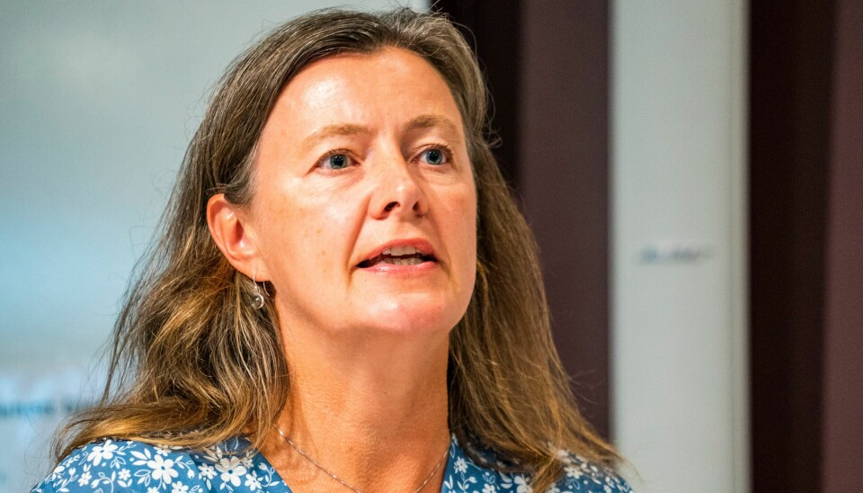 – En større andel kvinner i ledende stillinger påvirker naturlig nok den gjennomsnittlige forskjellen mellom hva kvinner og menn tjener. Det går sakte, men sikkert riktig vei, sier administrerende direktør Kari Olrud Moen i Finans Norge. Kari Elisabeth Olrud leder Finans Norge, en av de største landsforeningene i Næringslivets Hovedorganisasjon (NHO). Finans Norge representerer omtrent 250 finansbedrifter. Arkivfoto: Håkon Mosvold Larsen / NTB