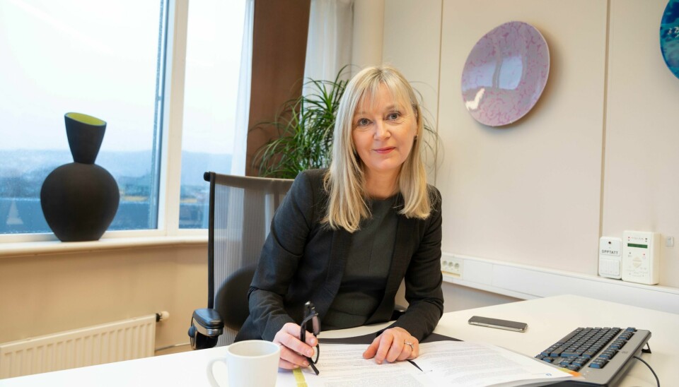 Direktør Trude Vollheim i Arbeidstilsynet.