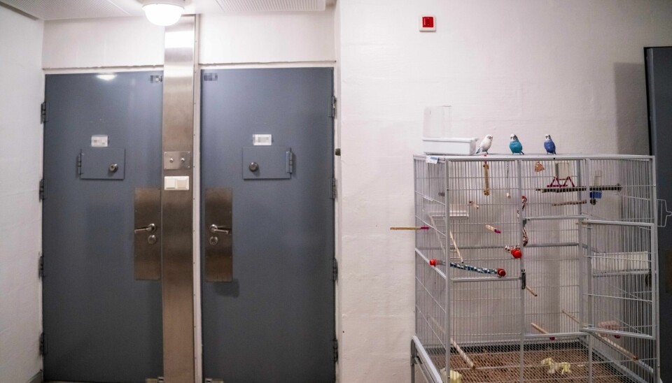 Anders Behring Breiviks søksmål mot staten skal behandles i januar. Rettssaken skal avvikles i Ringerike fengsel der Breivik for tiden soner forvaringsdommen for terrorangrepet i 2011. Breiviks celleanlegg er fordelt på to etasjer. Her er gangen i 2. et. der det er et fuglebur med tre undulater. Anders Behring Breiviks søksmål mot staten skal behandles i januar. Rettssaken skal avvikles i Ringerike fengsel der Breivik for tiden soner forvaringsdommen for terrorangrepet i 2011. Breiviks celleanlegg er fordelt på to etasjer. Her er gangen i 2. et. der det er et fuglebur med tre undulater. Foto: Ole Berg-Rusten / NTB