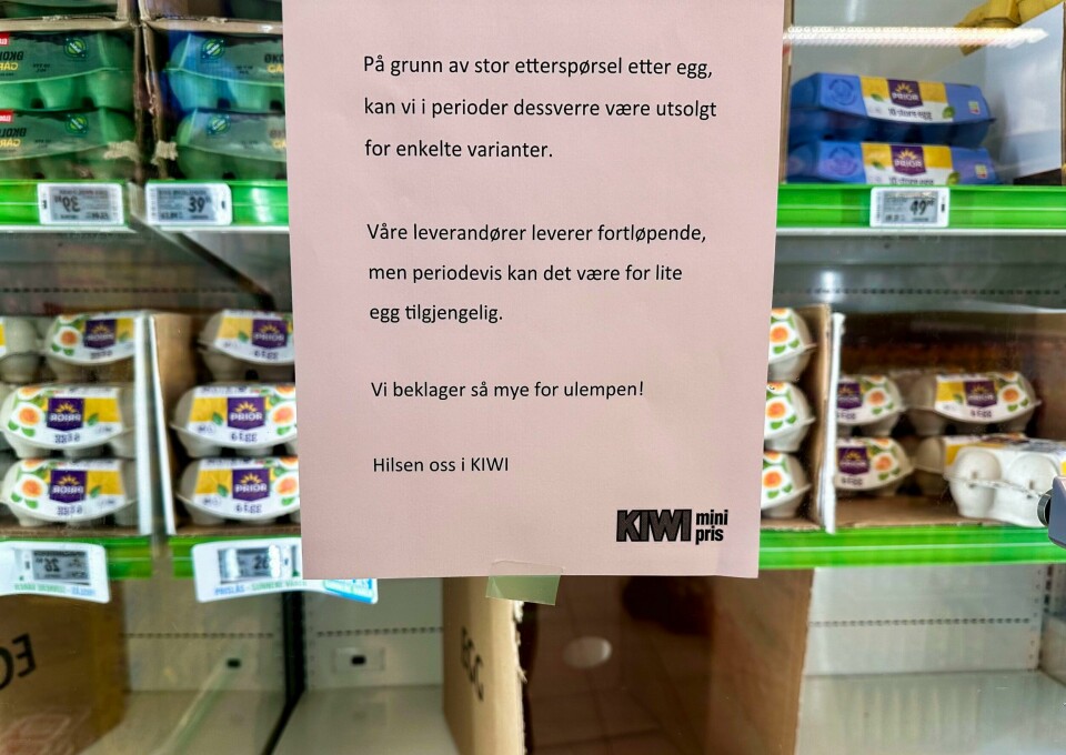 Flere butikker sliter med å fylle opp egghyllene om dagen. Det truer påskefrokosten. Kiwi varsler sine kunder om eggmangel. Slike plakater henger i mange butikker i disse dager. Foto: André Lorentsen / NTB