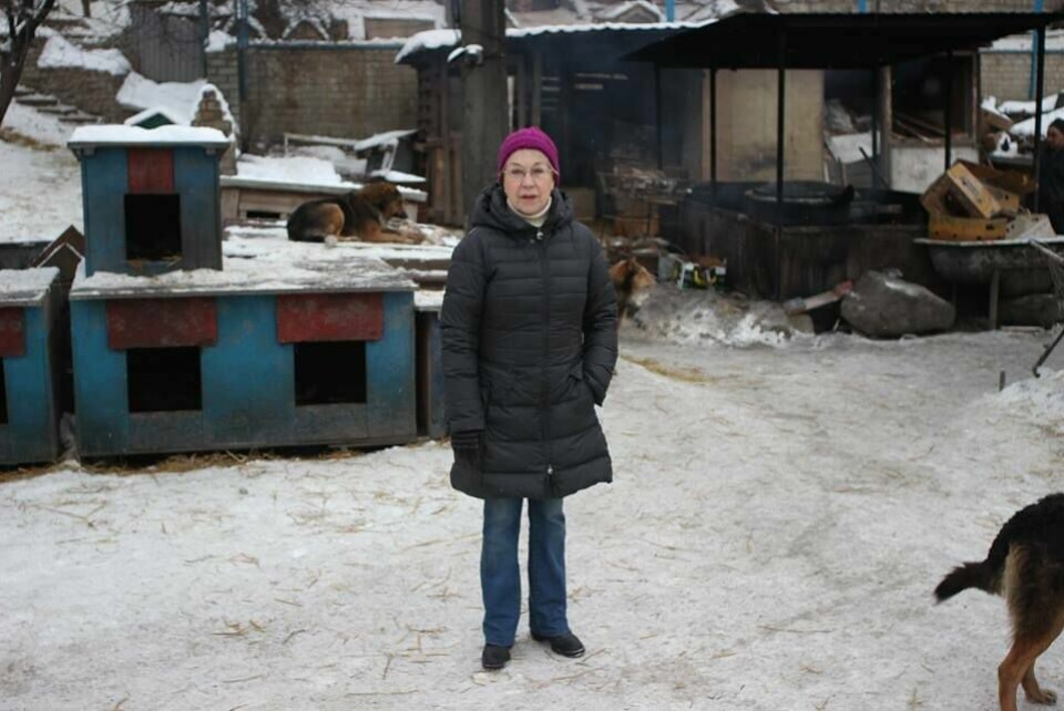 Tamara Tarnawska redder dyr i Kyiv. Etter invasjonen er arbeidet blitt vanskeligere, og dyrene langt flere. Her er hun fotografert i 2019, før krigen. Tamara Tarnawska redder dyr i Kyiv. Etter invasjonen er arbeidet blitt vanskeligere, og dyrene langt flere. Her er hun fotografert i 2019, før krigen.