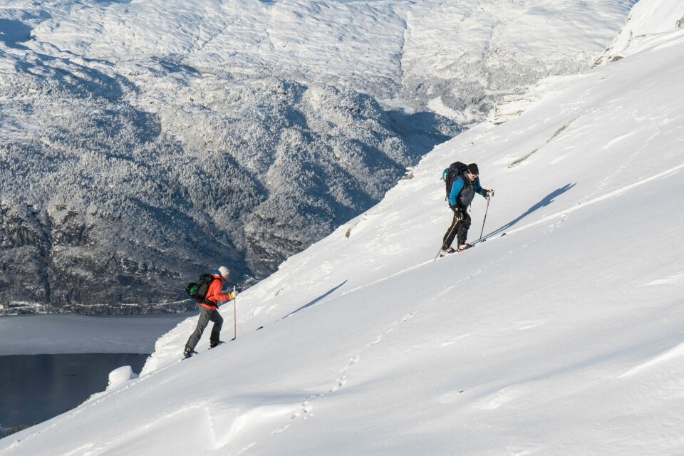 Topptur til Skorvenuten med Saudafjorden i bakgrunnen. Topptur til Skorvenuten med Saudafjorden i bakgrunnen.