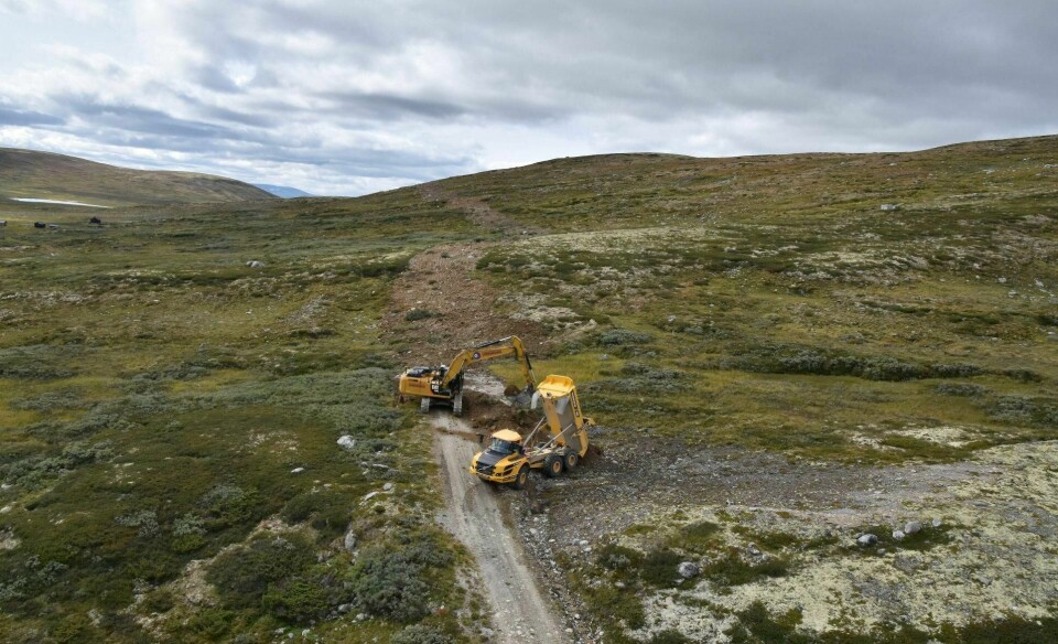 Hjerkinn var i over 80 år Forsvarets viktigste skytefelt i Sør-Norge. Nå er 5.000 bomber og granater fjernet i norgesshistoriens største naturrestaurering, og området er innlemmet i Dovrefjell nasjonalpark. Foto: Dagmar Hagen/NINA
