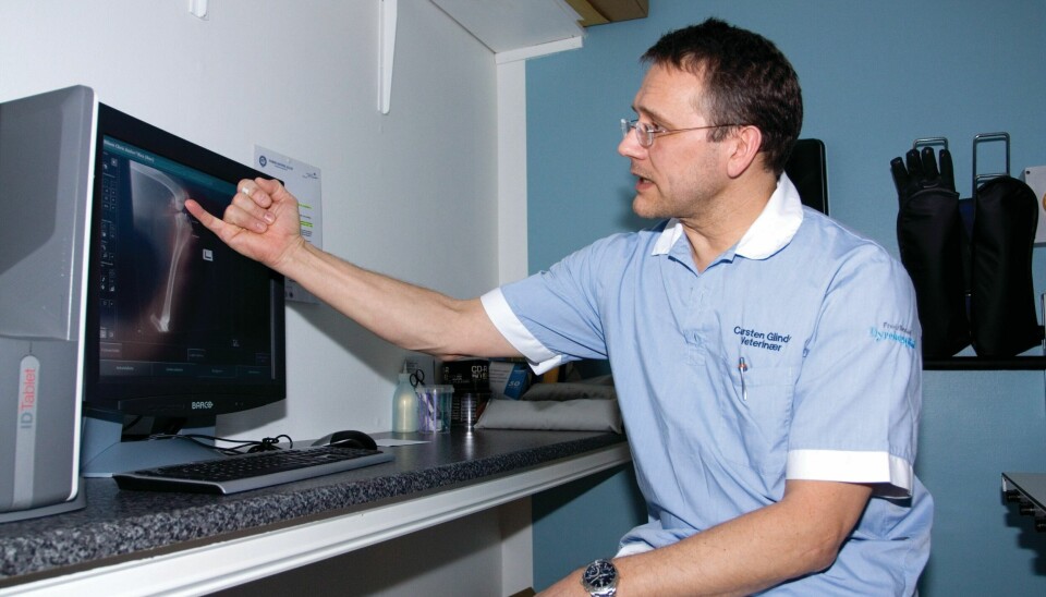 Carsten Glindø, veterinær og daglig leder Fredrikstad Dyrehospital. ARKIVFOTO: Carsten Glindø, veterinær og daglig leder Fredrikstad Dyrehospital. ARKIVFOTO: