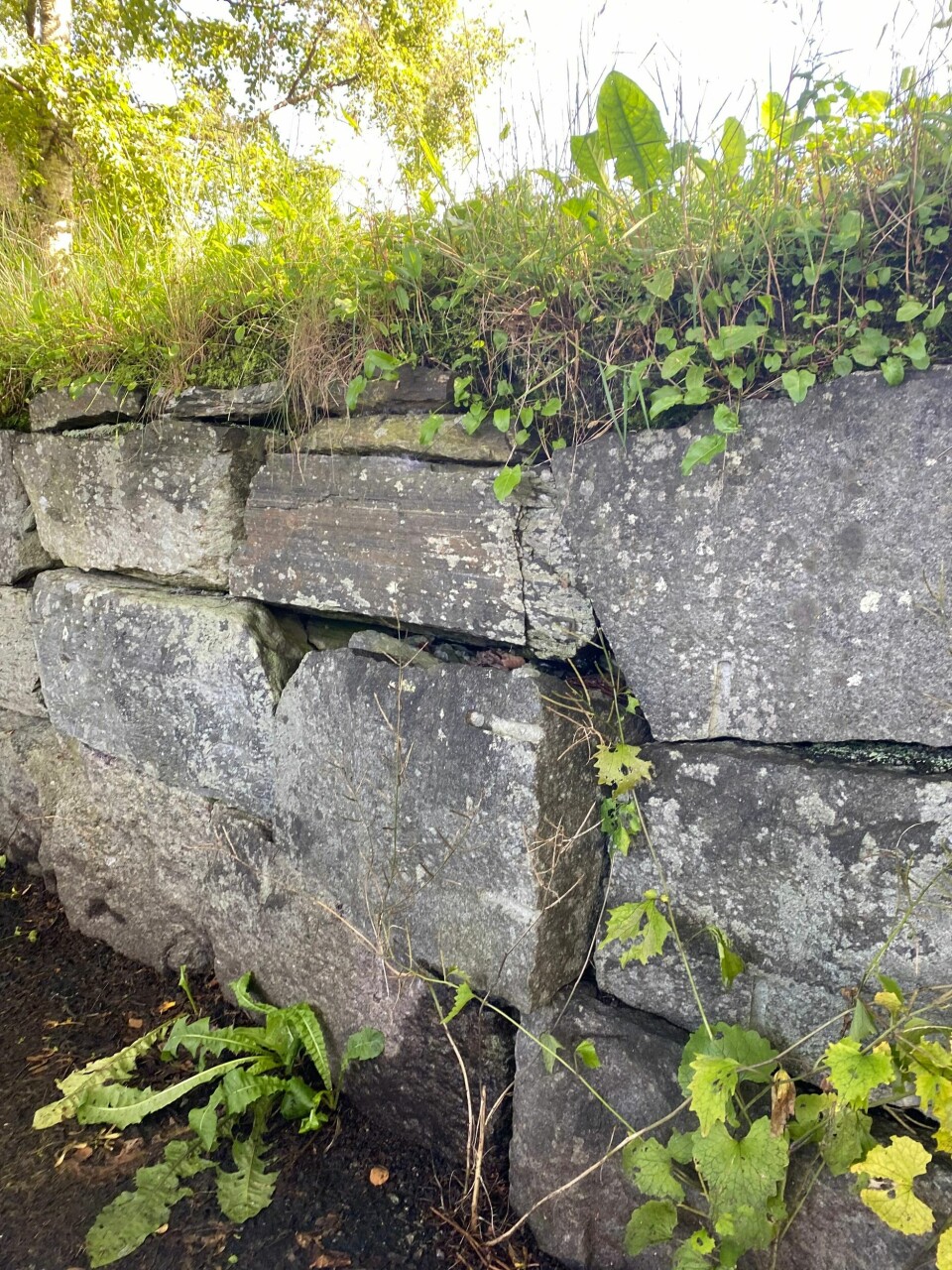 Deler av steinene i muren rundt Eiganes Gravlund er på vei til å skli ut. En stein som stikker lengre ut enn de andre steinene i muren.