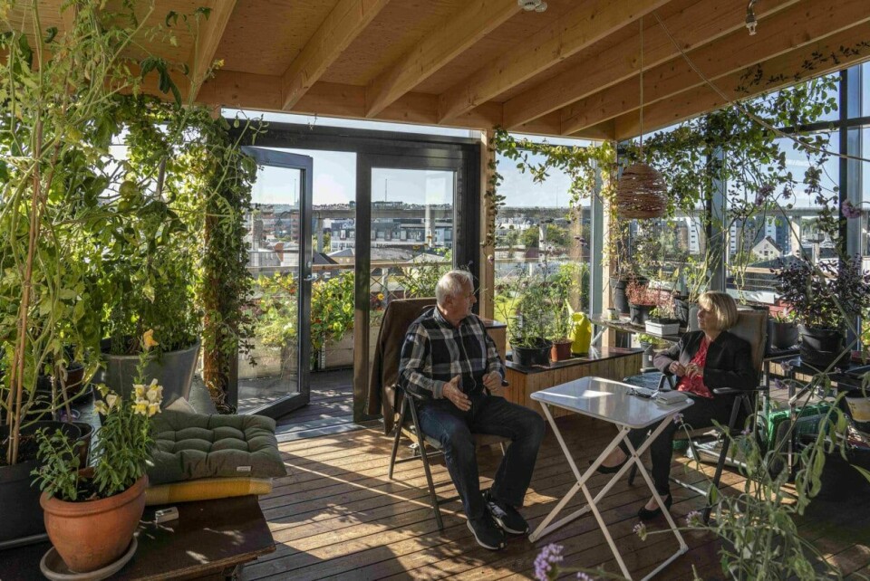 Planterom i Vindmøllebakken. Planterom i Vindmøllebakken.