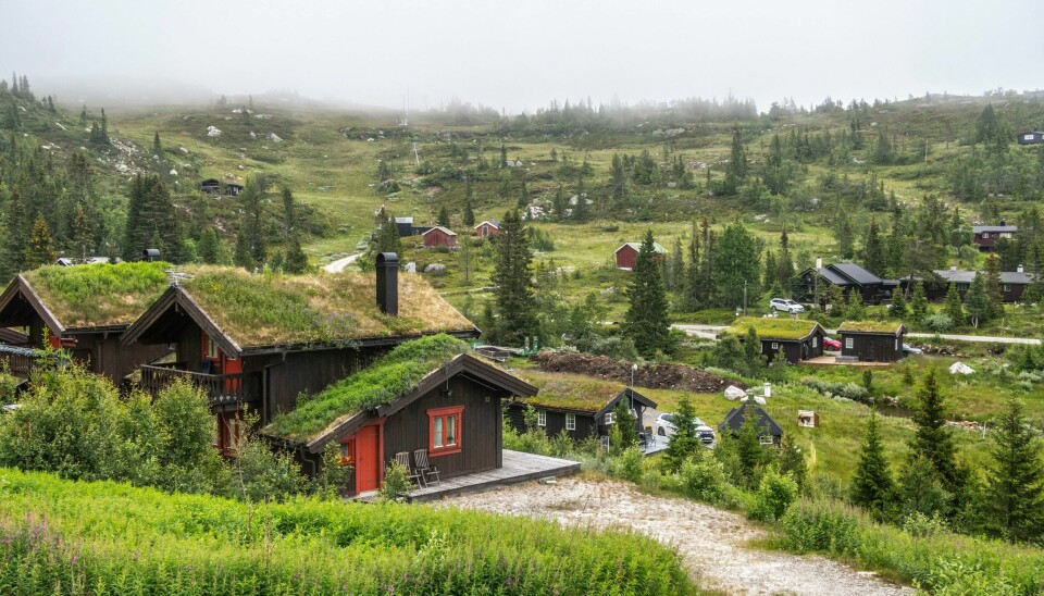 Det er stor prosentvis nedgang i hytter til salgs i Innlandet og Viken, som her på Tempelseter i Sigdal Sigdal kommune i Viken er ein av kommunane der innbyggjarar er spurde om hyttebygging. Foto: Halvard Alvik / NTB / NPK