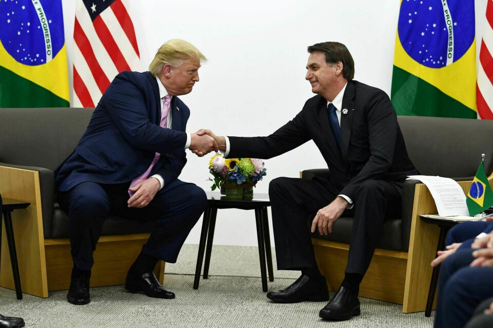 USAs tidligere president Donald Trump og Brasils president Jair Bolsonaro hilser blidt i 2019. Den ene tapte valget for snart to år siden. Nå ligger også den andre dårlig an. USAs tidligere president Donald Trump og Brasils president Jair Bolsonaro hilser blidt i 2019. Den ene tapte valget for snart to år siden. Nå ligger også den andre dårlig an.