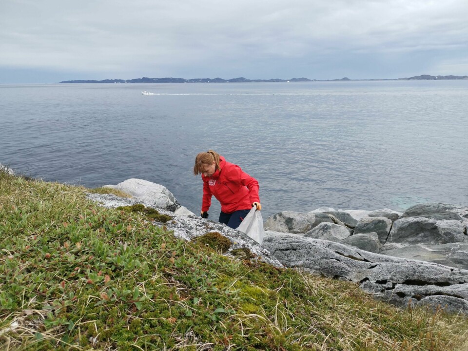 Det er først og fremst plast som fjernes fra norske strender ved frivillige ryddeaksjoner, forteller Lise Keilty Gulbransen i Hold Norge Rent. Norske myndigheter har i årevis vært en pådriver for en global plastavtale for å redusere plastforurensningen. – Det er kjempebra at Norge satser stort internasjonalt på dette, men når den samme innsatsen svekkes nasjonalt, henger ikke det sammen, sier Gulbransen. Det er først og fremst plast som fjernes fra norske strender ved frivillige ryddeaksjoner, forteller Lise Keilty Gulbransen i Hold Norge Rent. Norske myndigheter har i årevis vært en pådriver for en global plastavtale for å redusere plastforurensningen. – Det er kjempebra at Norge satser stort internasjonalt på dette, men når den samme innsatsen svekkes nasjonalt, henger ikke det sammen, sier Gulbransen.