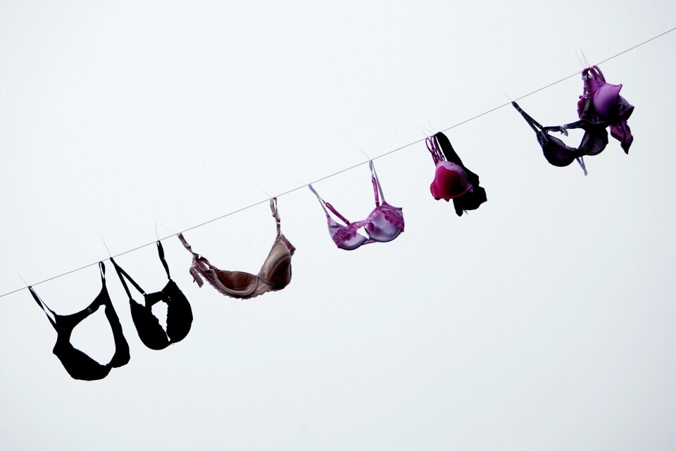 Her henger BHer langs Aker brygge i forbindelse med en Rosa sløyfe-aksjon mot brystkreft. Illustrasjonsfoto. Brystkreft blir omtalt nesten 20 ganger oftere i mediene enn blærekreft. Her henger BHer langs Aker brygge i oslo i forbindelse med Den norske Kreftforeningens rosa sløyfe-aksjon mot brystkreft i 2008.