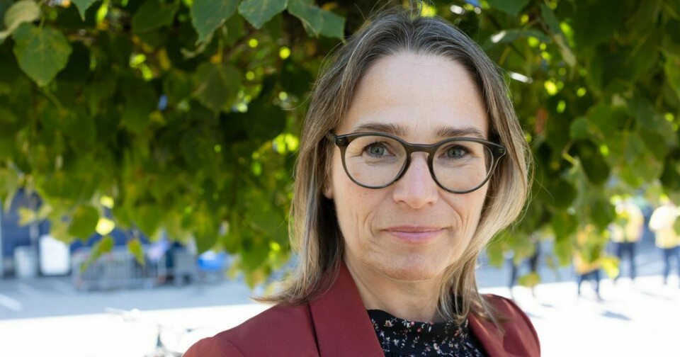 Trine Lise Sundnes har klare forventninger til bedriftene: – Butikkene burde følge norsk lov, sier Ap-politikeren. Trine Lise Sundnes har klare forventninger til bedriftene: – Butikkene burde følge norsk lov, sier Ap-politikeren.Foto: Brian Cliff Olguin/FriFagbevegelse