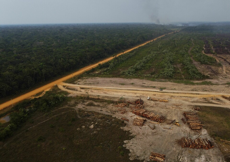 Avskogingen i Amazonas har steget kraftig mens Jair Bolsonaro har vært president i Brasil. Menneskeheten forbruker langt mer biologiske ressurser, som skog og jord, enn det planeten regenererer hvert år. Dette bildet er fra verdens største regnskog Amazonas. Foto: AP / NTB